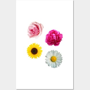 Flowers Set Posters and Art